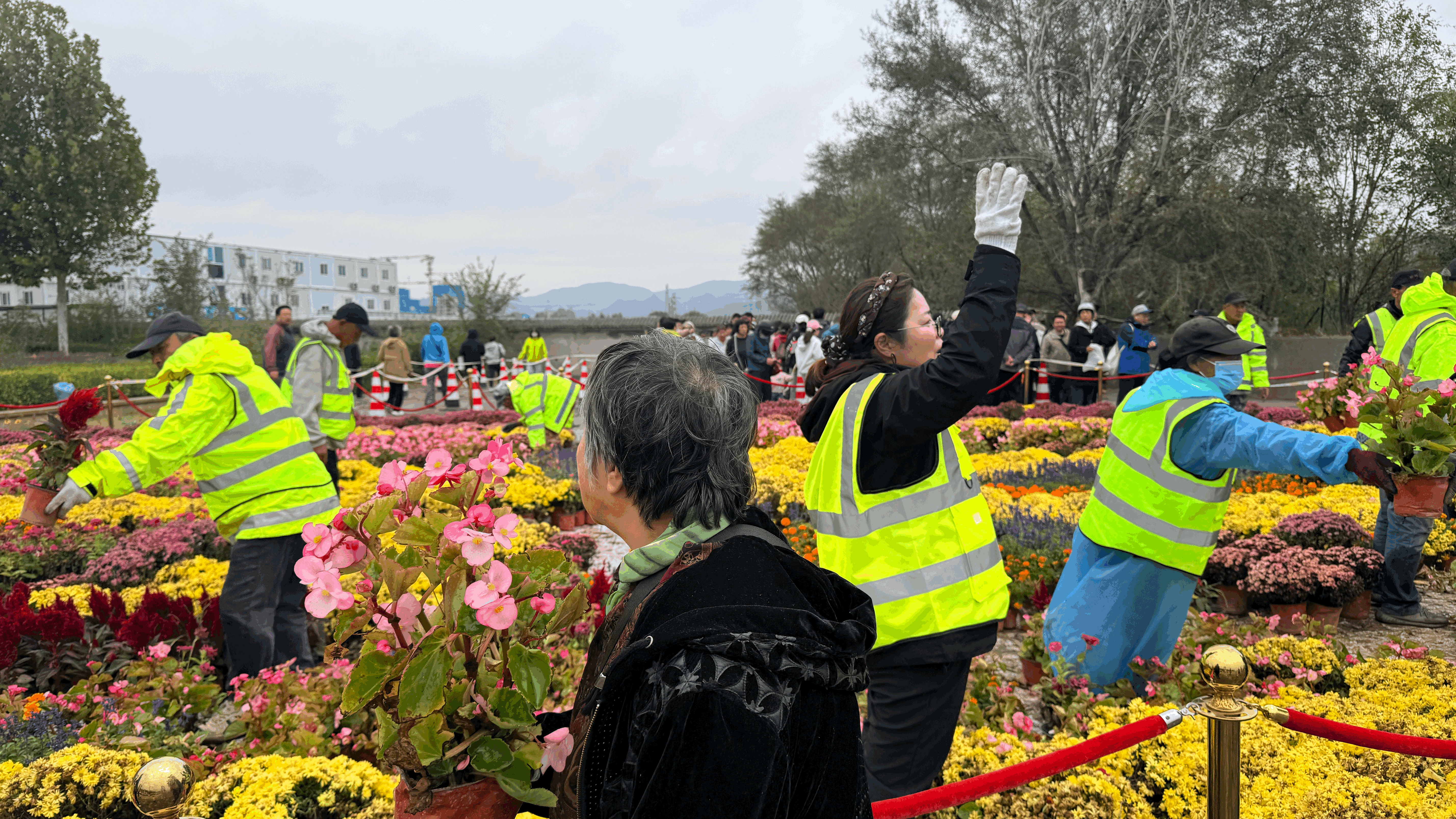 市民打卡领花:把国庆氛围感搬回家 市民打卡领花:把国庆氛围感搬回家