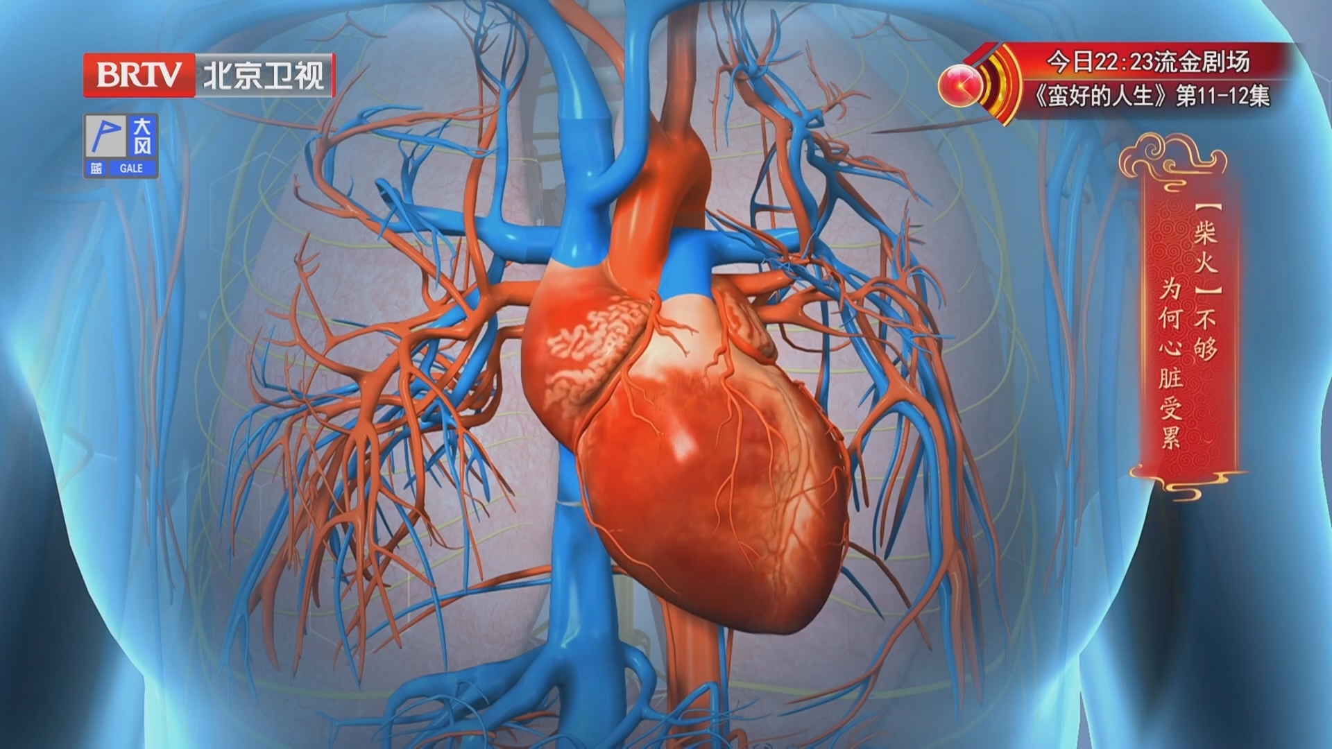 《养生堂》20260108缺铁“伤心”的隐形杀手