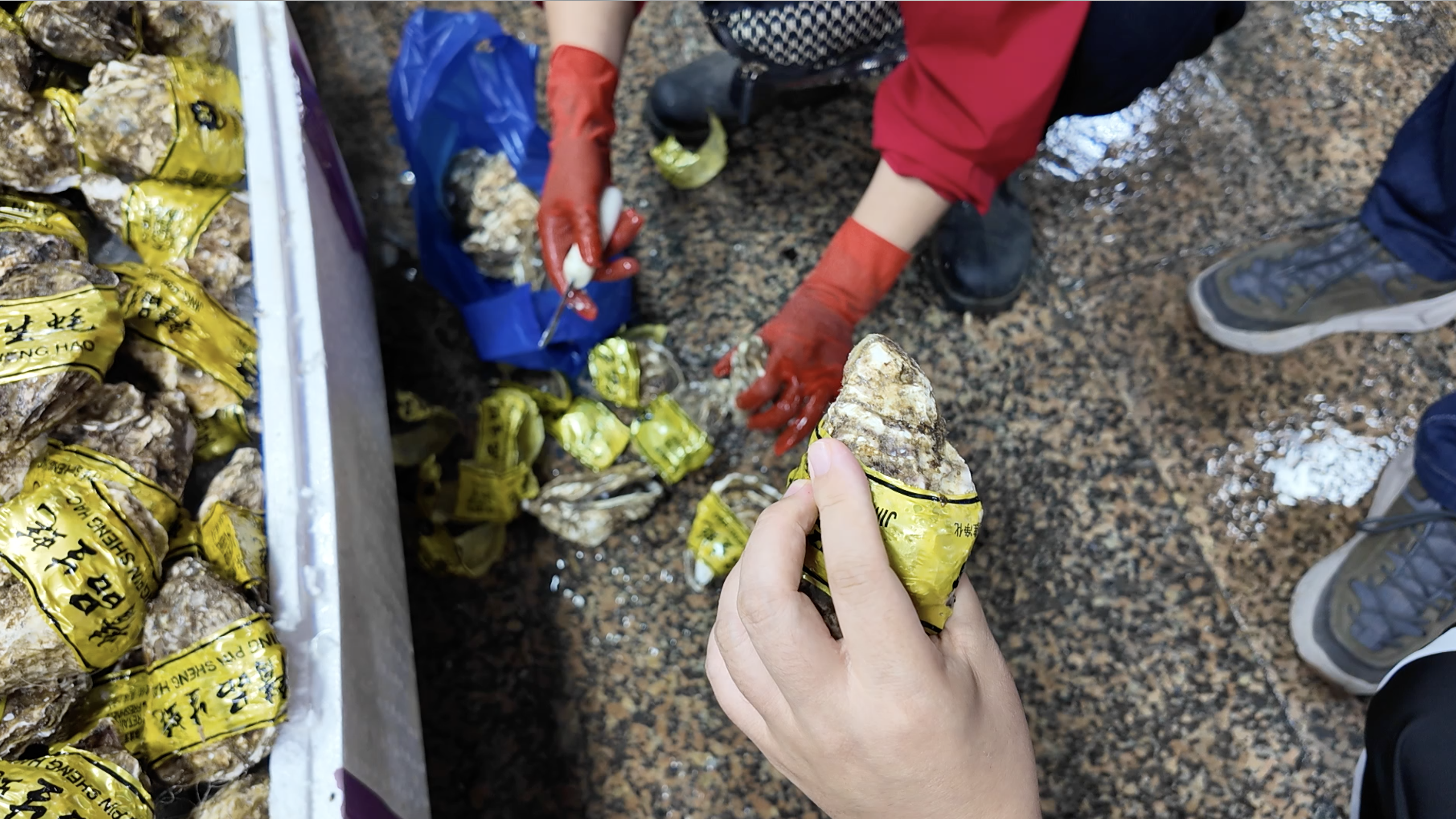 生蚝季避坑指南：要拿厚圆鼓，不拿大扁片！