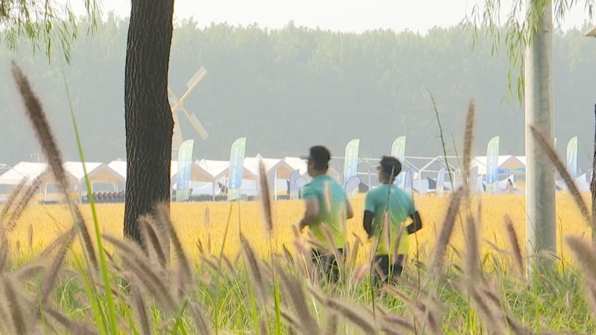 体育文化相互融合 京西稻香文化欢乐跑开跑 体育文化相互融合 京西稻香文化欢乐跑开跑