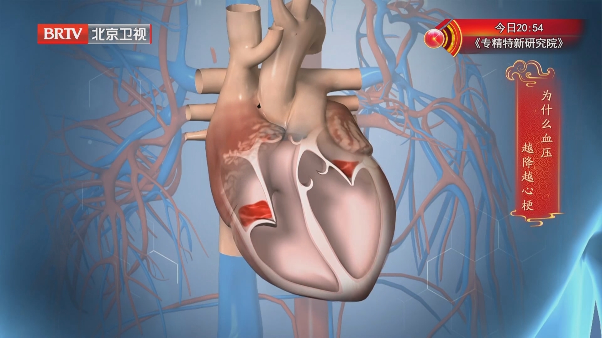 《养生堂》20250905警惕降压过程中的血压波动