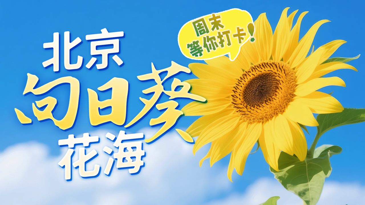 夏日限定 在北京邂逅金色浪漫! 夏日限定 在北京邂逅金色浪漫!