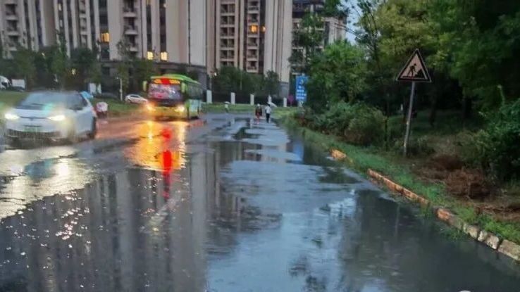 雨天积水靠风干、坑洼靠避让，这条村级路难住周边住户……