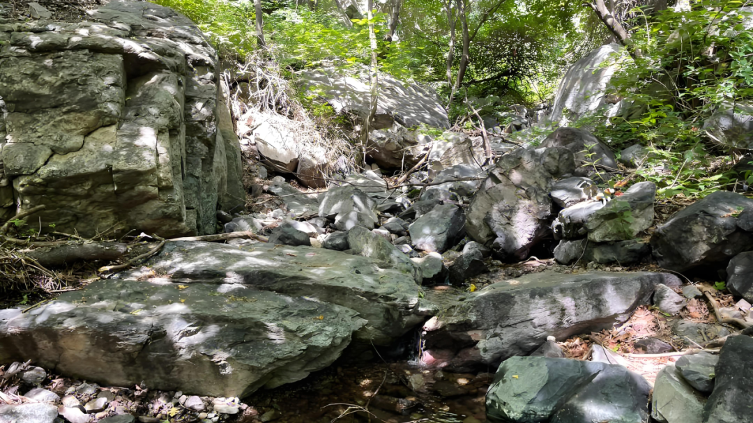 绝美！北京这些高山草甸宛若“空中花园”