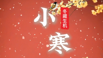 小寒至，万物藏。愿你冬日有暖，岁月安然