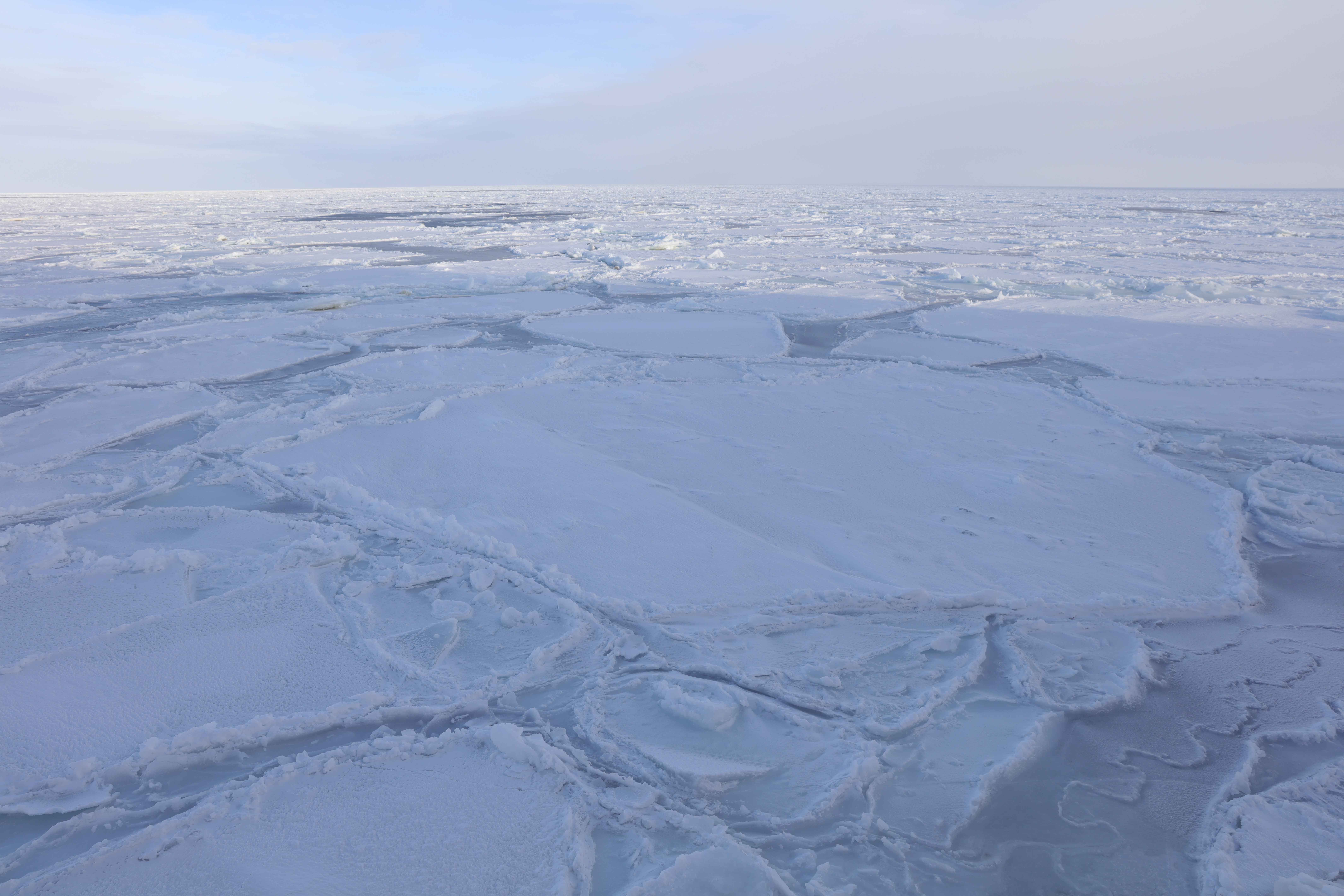 好消息:地球保护性臭氧层正在恢复 好消息:地球保护性臭氧层正在恢复