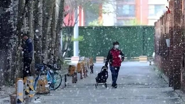 花粉过敏季将至！医生：提前一周用药能有效缓解症状