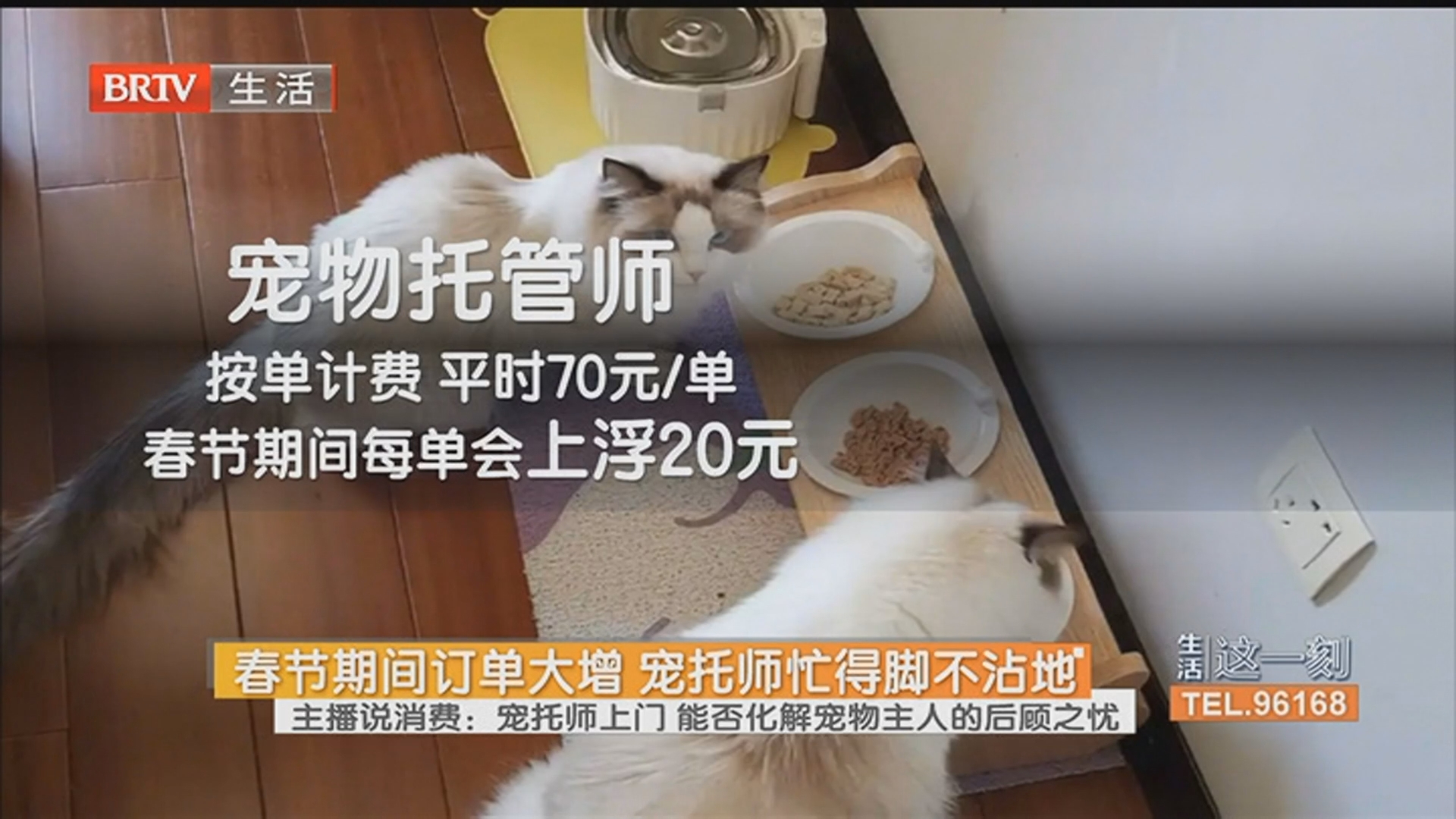 《生活这一刻》20260219