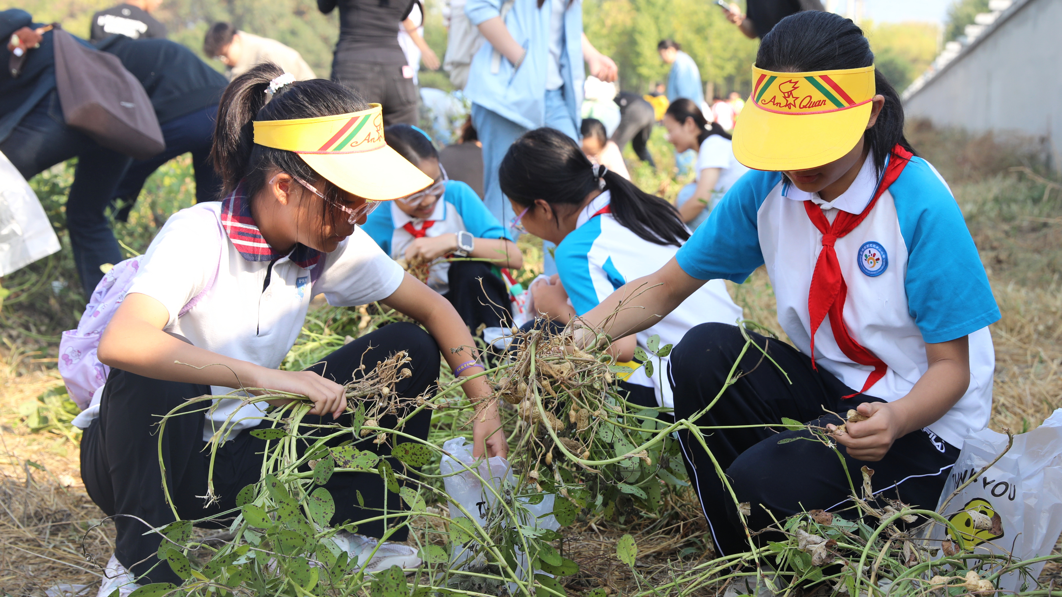 丰收节开启一堂别开生面的“田间地头大思政课” 丰收节开启一堂别开生面的“田间地头大思政课”