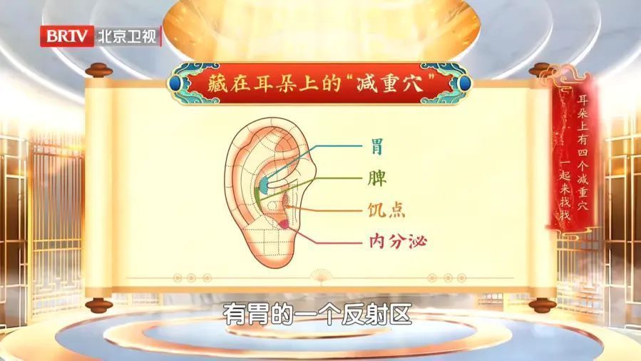 专家推荐适合痰湿型肥胖的减重四耳穴