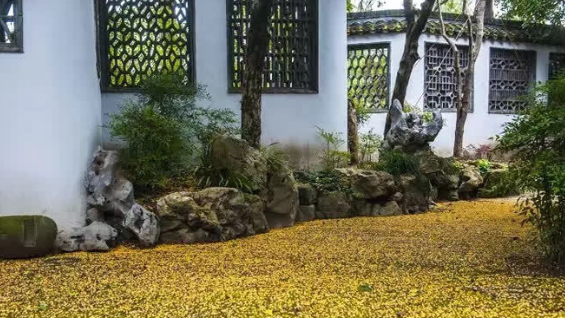 扬州香了！快来奔赴一场金秋桂花之约