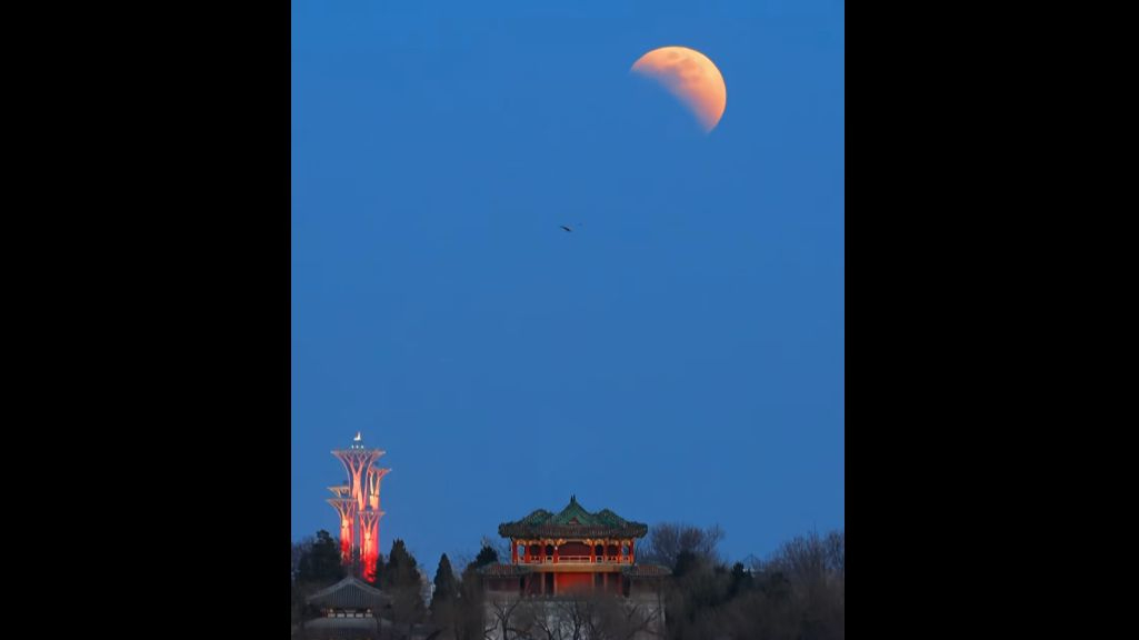 如梦如幻！元宵夜昆明湖边被镜头定格的美丽同框——