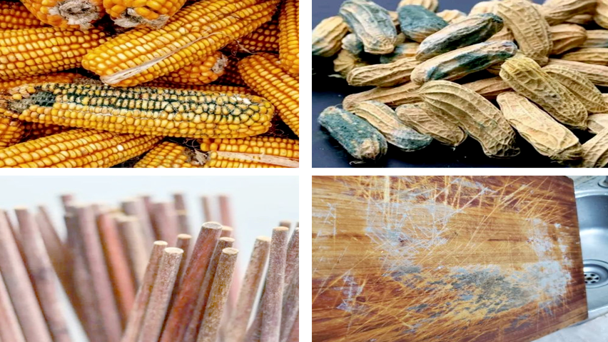 “省出来的癌”!你家厨房可能也有→ “省出来的癌”!你家厨房可能也有→