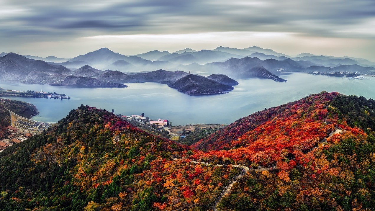 逛“莫奈花园” 转美食集市 看农科博览会 世界农科创大会约你来打卡 逛“莫奈花园” 转美食集市 看农科博览会 世界农科创大会约你来打卡