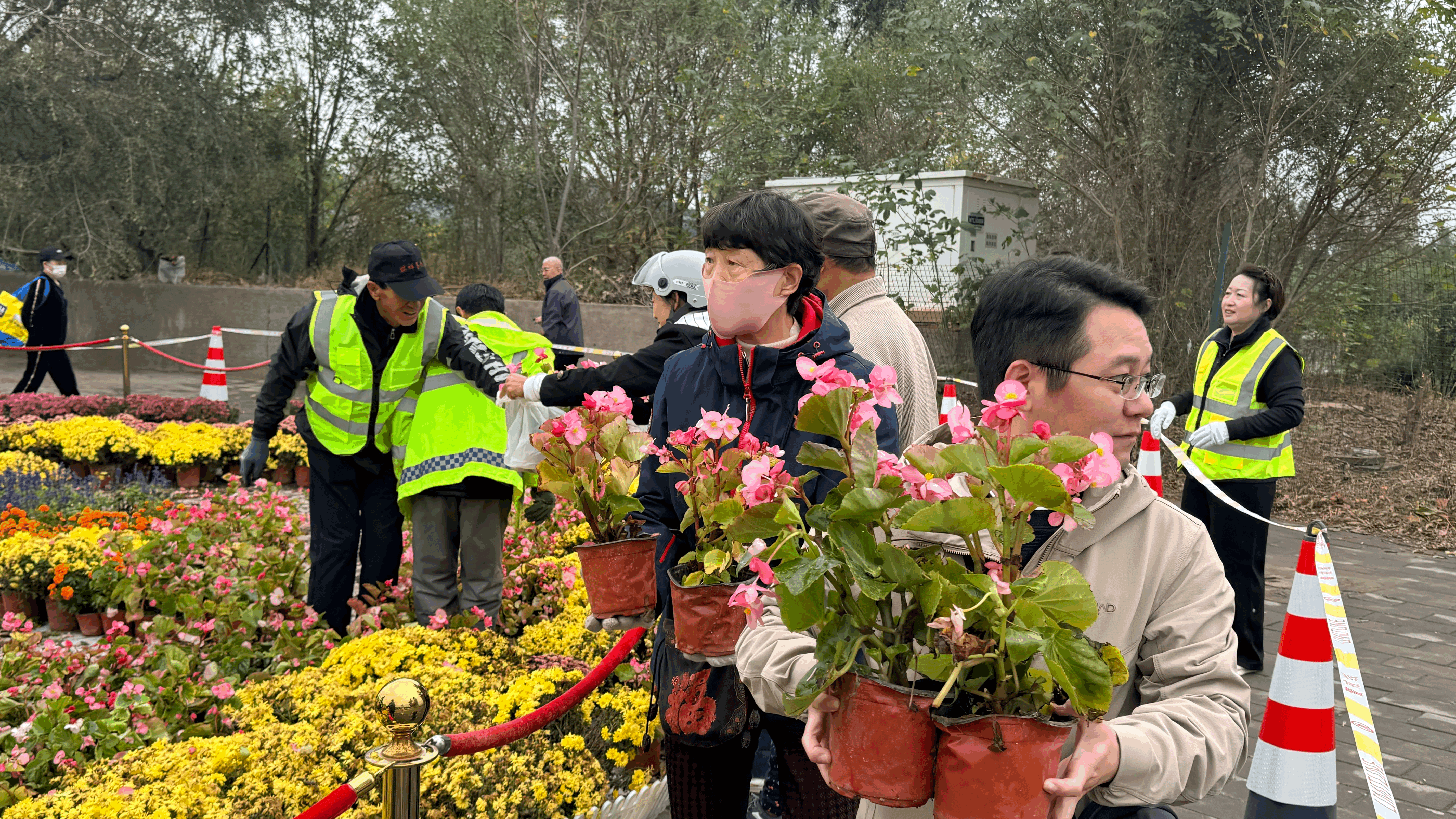一花传温情,门头沟精细化治理藏着小浪漫 一花传温情,门头沟精细化治理藏着小浪漫
