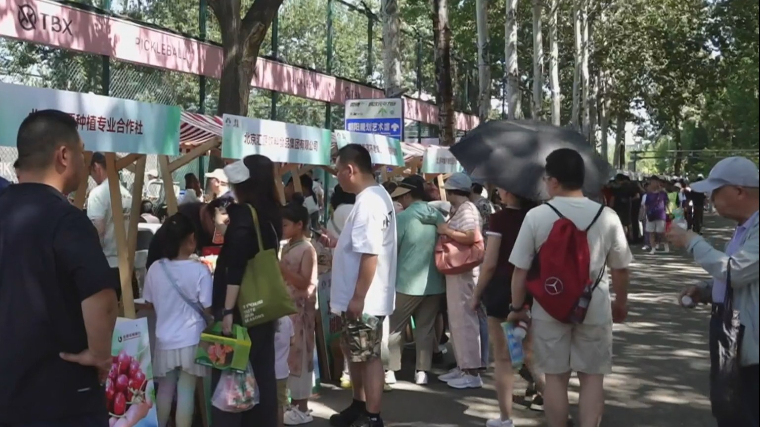 “京果飘香·2026全民采摘季”启动 持续至10月底 “京果飘香·2026全民采摘季”启动 持续至10月底