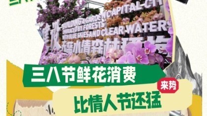 鲜花品种与订单量齐飞,这波“她经济”浪潮,北京的花市狠狠拿捏 鲜花品种与订单量齐飞,这波“她经济”浪潮,北京的花市狠狠拿捏