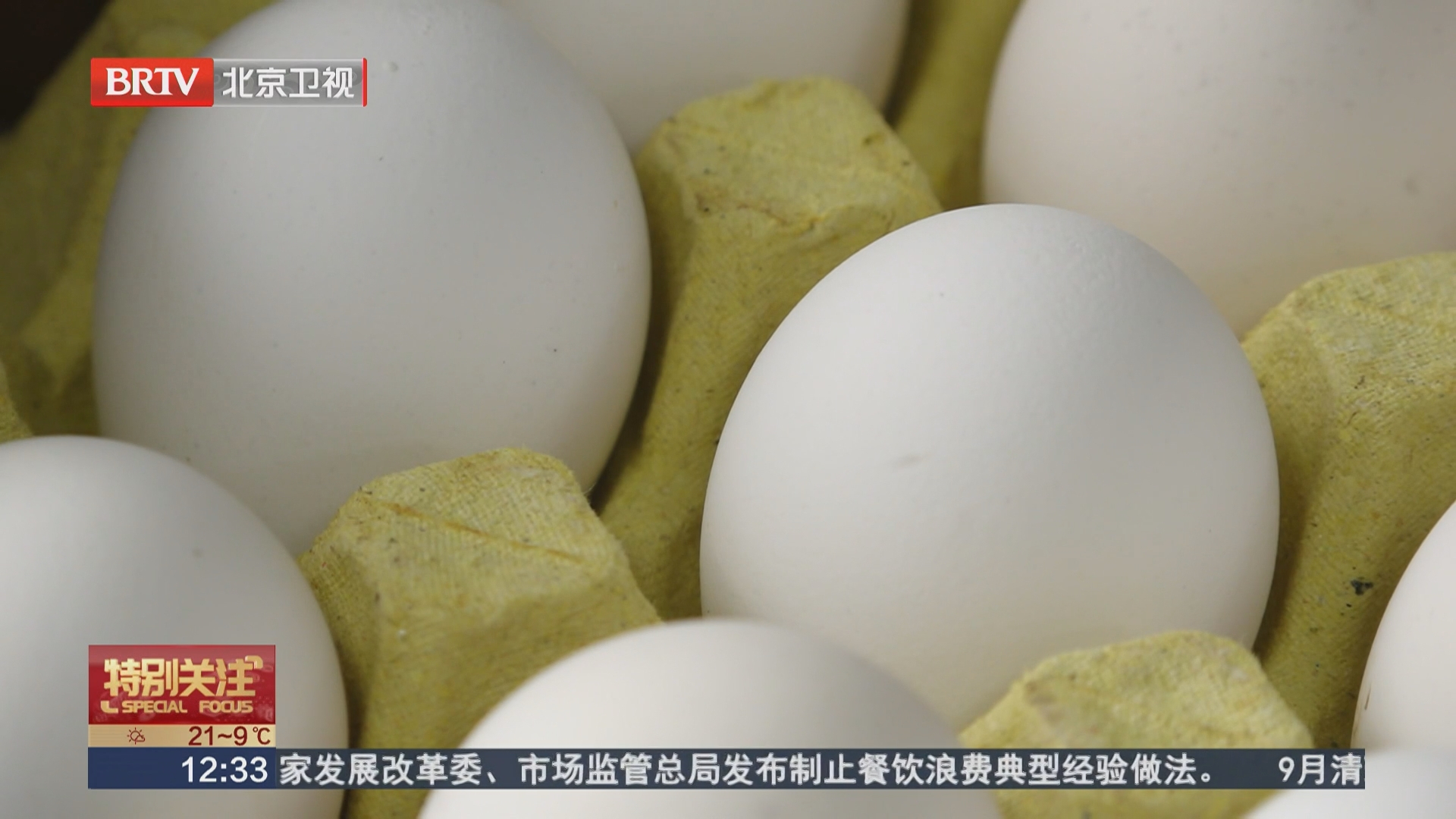 “长斑鸡蛋”不能吃？鸡蛋储存还有哪些误区