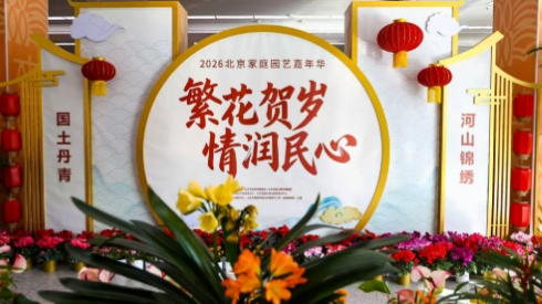 政务大厅里的“花样”新年！市民争相打卡花卉展