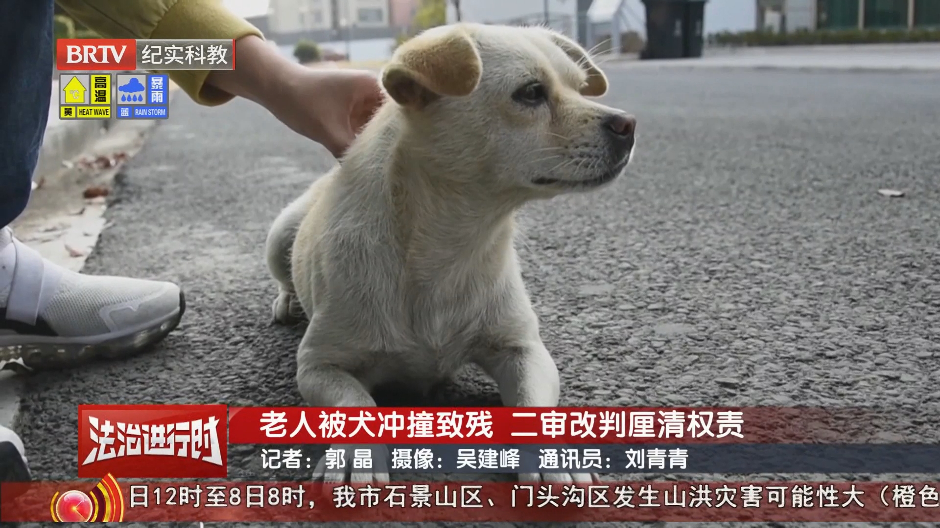 《法治进行时》20260807老人被犬冲撞致残 二审改判厘清权责 《法治进行时》20260807老人被犬冲撞致残 二审改判厘清权责