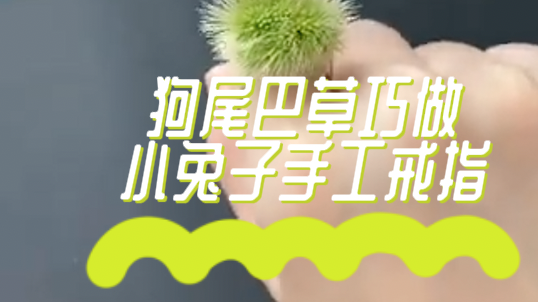 狗尾巴草巧做，小兔子手工戒指