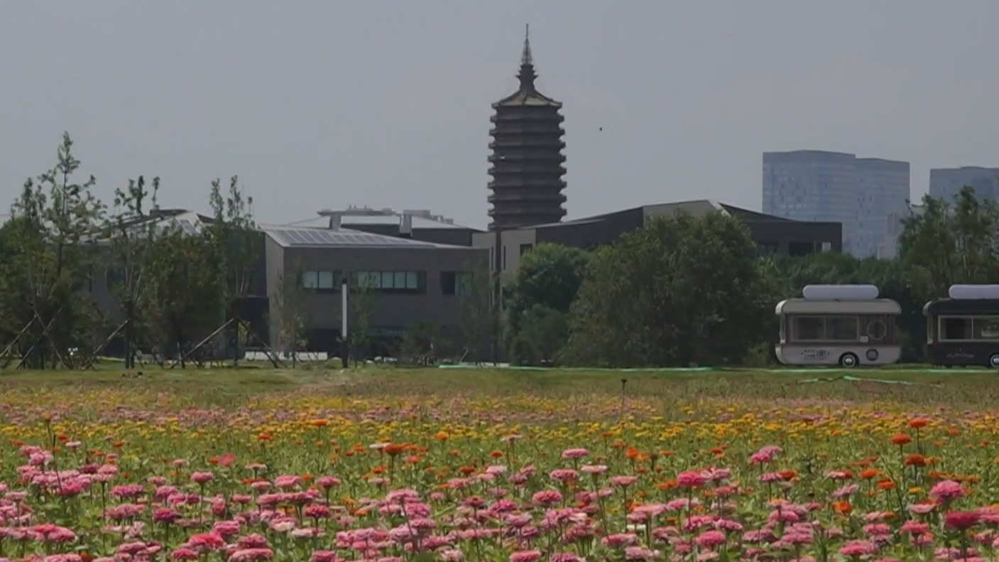 千顷花海“穿针引线” 织就花园城市夏日消费新图景