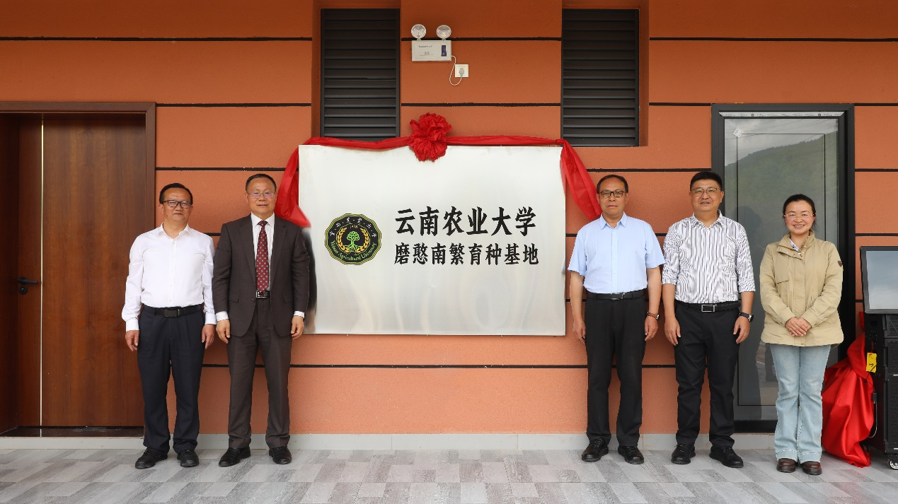 云南农业大学云南种业创新研究院磨憨南繁育种基地正式成立
