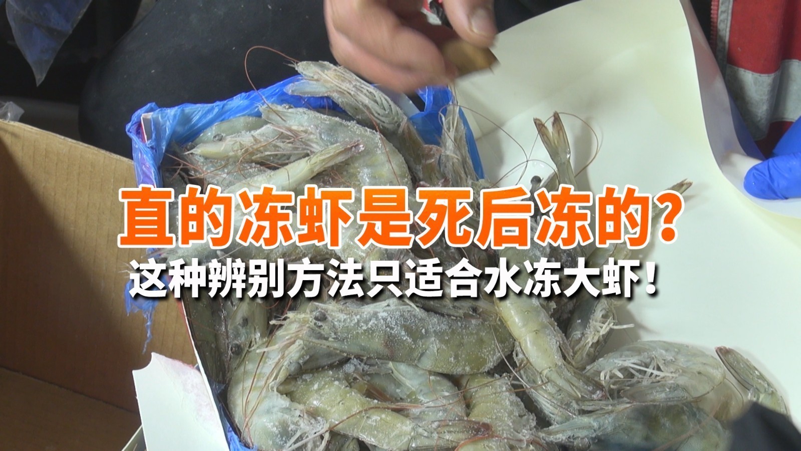 直的冻虾是死后冻的?这种辨别方法只适合水冻大虾! 直的冻虾是死后冻的?这种辨别方法只适合水冻大虾!