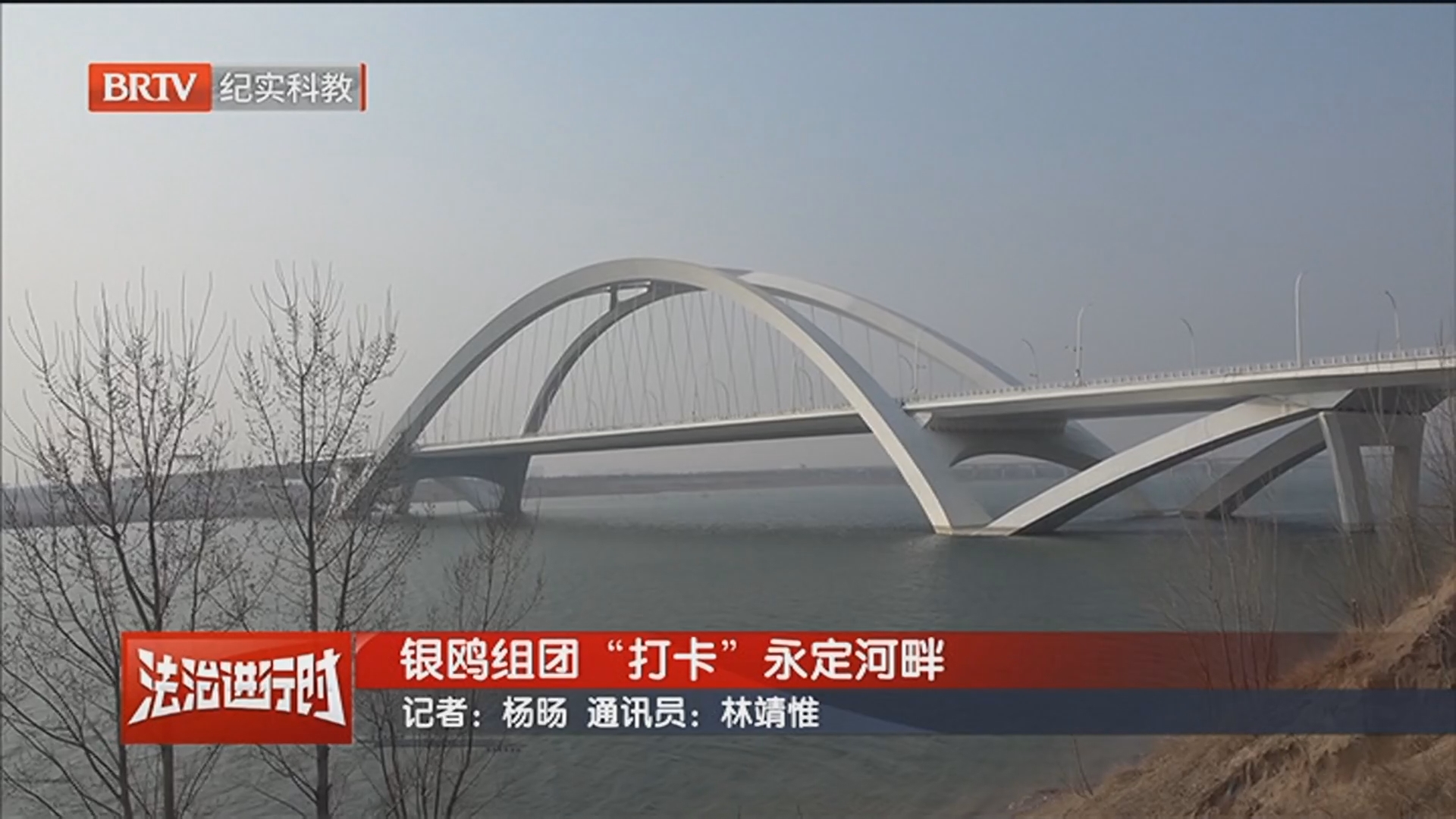 《法治进行时》20260319银鸥组团“打卡”永定河畔