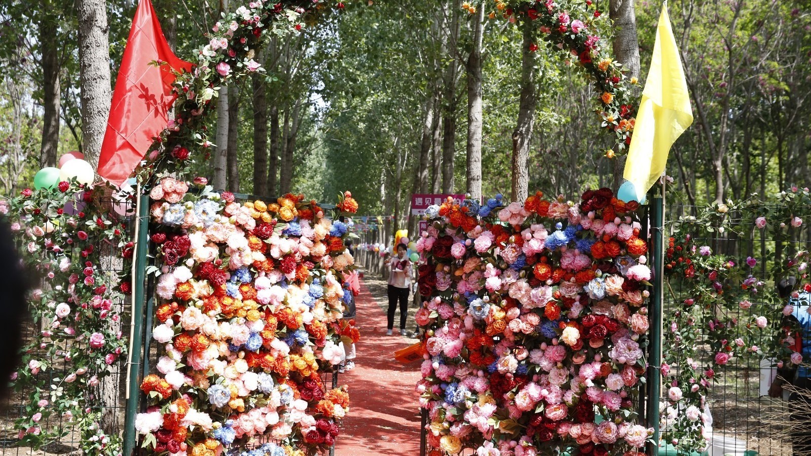 北京平谷：东高村镇上百品种10万株芍药进入最佳观赏期
