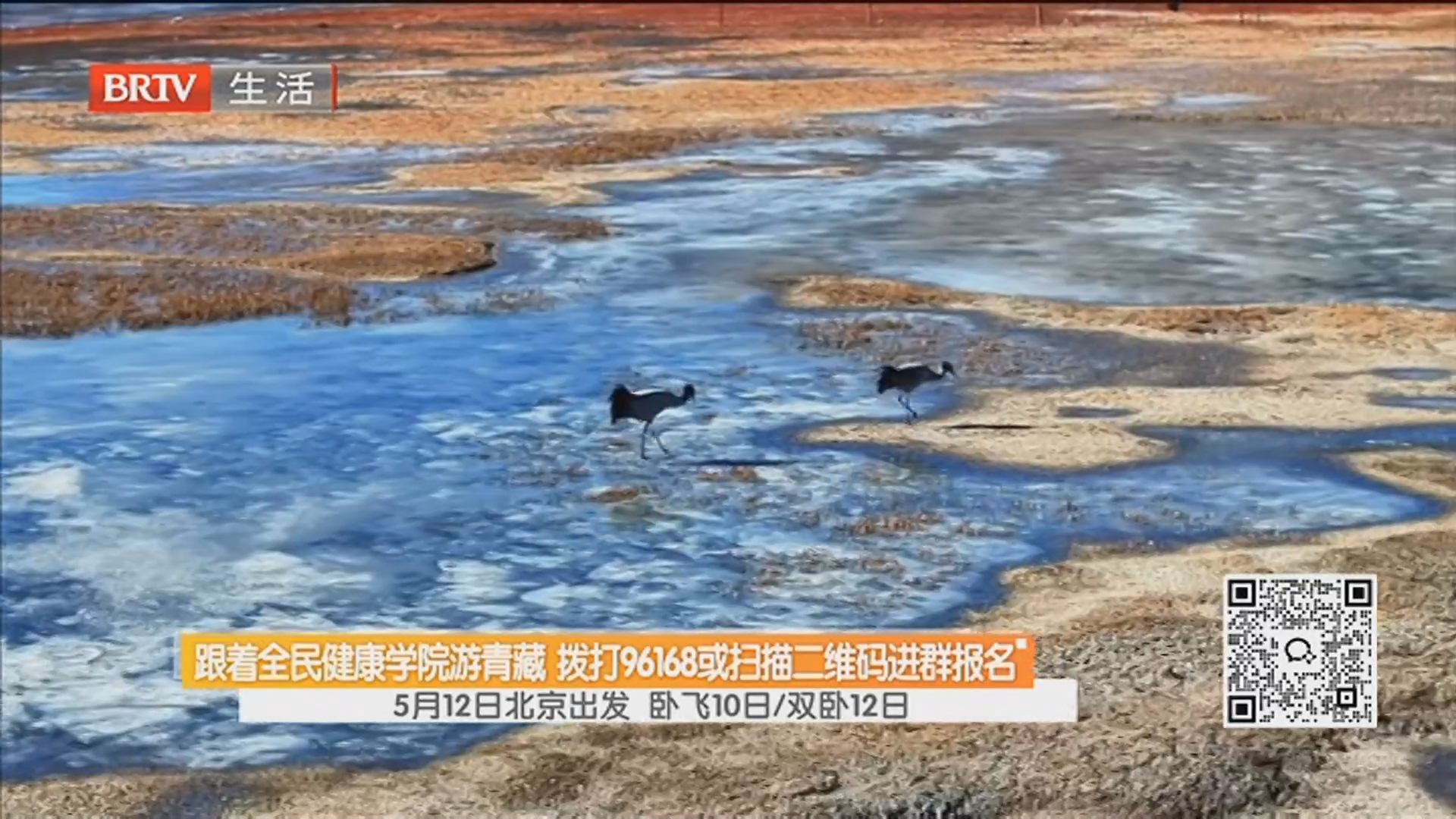 跟着全民健康学院游青藏 拨打96168或扫描二维码进群报名 5月12日北京出发 卧飞10日/双卧12日