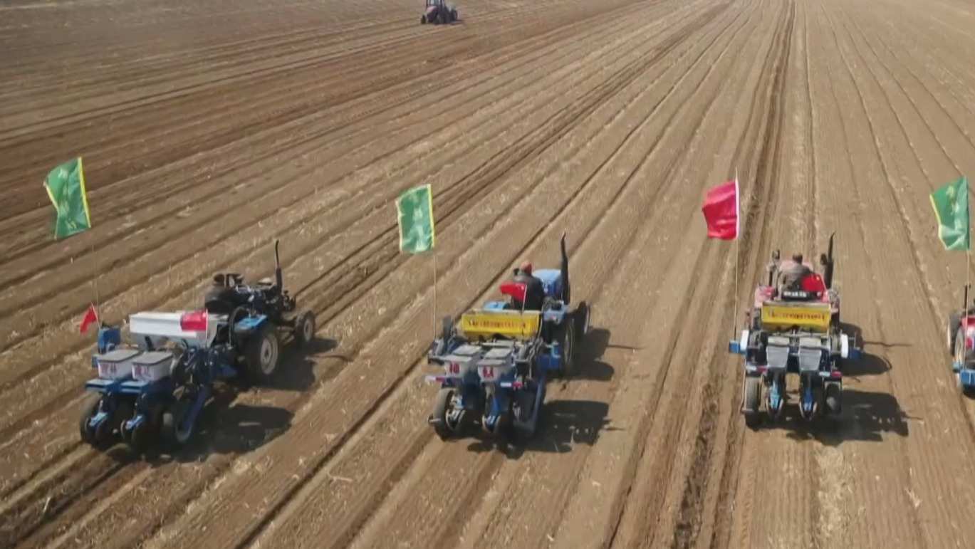 首善答卷百人谈丨张弓 首善答卷百人谈丨张弓