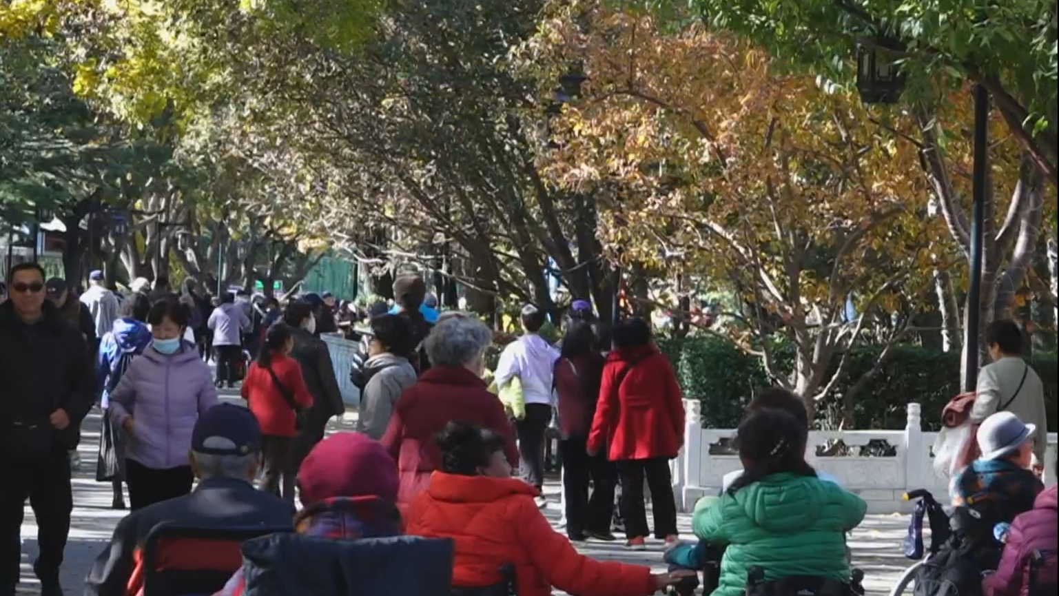 本周末北京迎来彩叶观赏高峰 本周末北京迎来彩叶观赏高峰