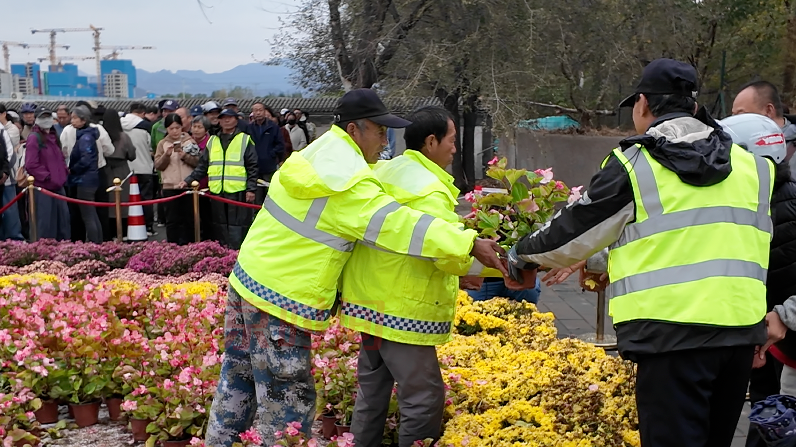 双节鲜花走进千家万户，每一盆都代表着喜悦与荣光