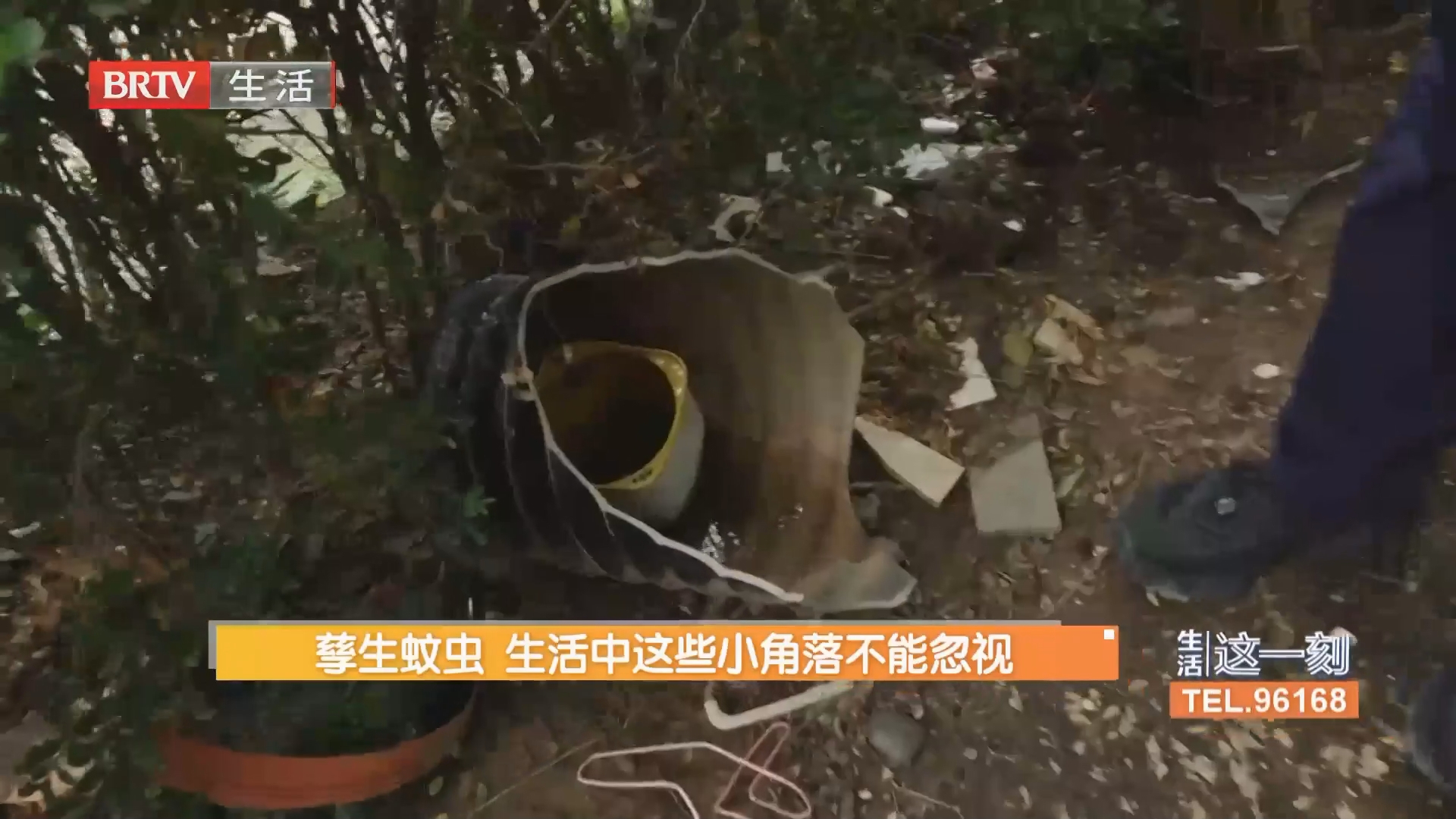 孳生蚊虫 生活中这些小角落不能忽视