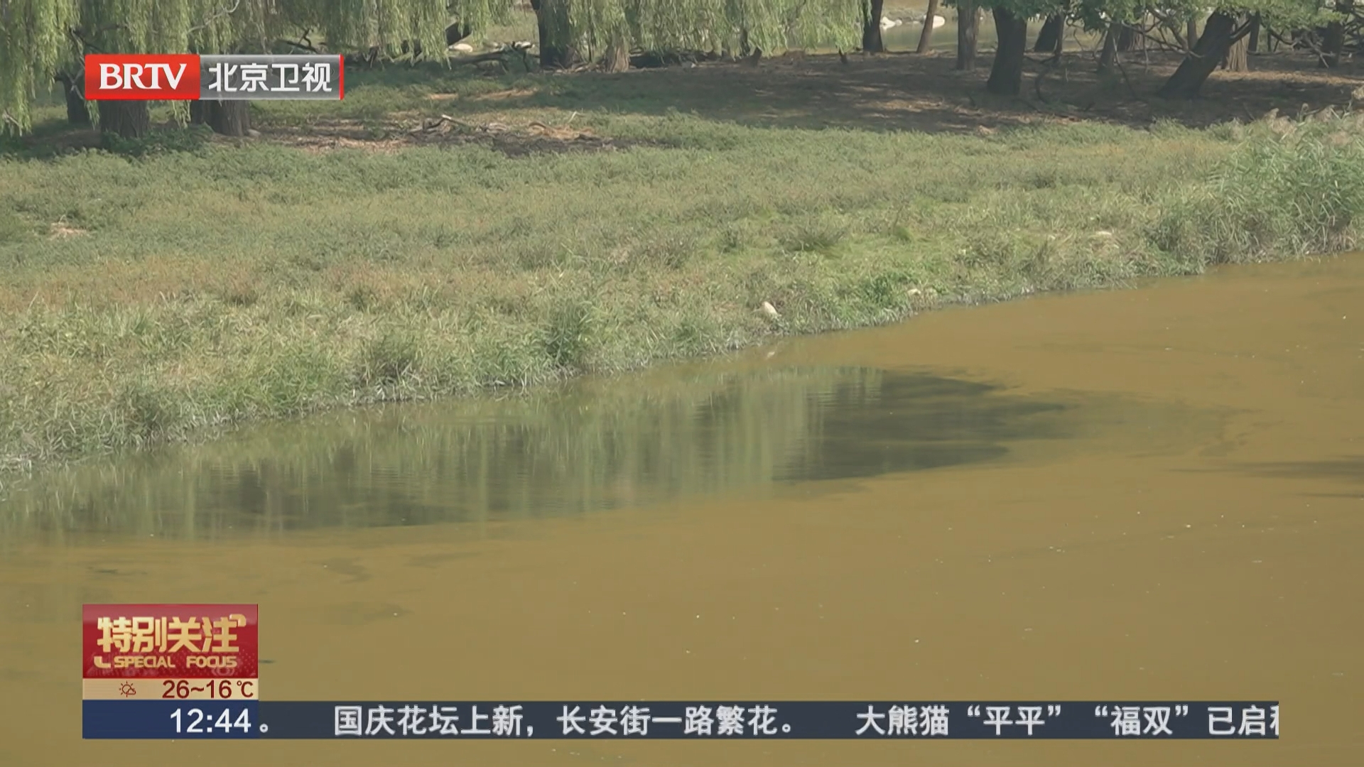 麋鹿苑水面“变红” 游客众说纷纭