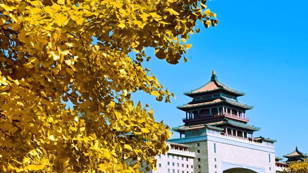 谁说车站机场只有匆忙 秋日里的八站两场美成了画