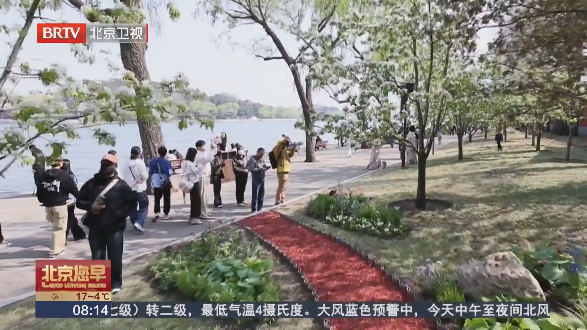 沉浸式探访北海公园“最美园路” 打卡春日海棠盛景