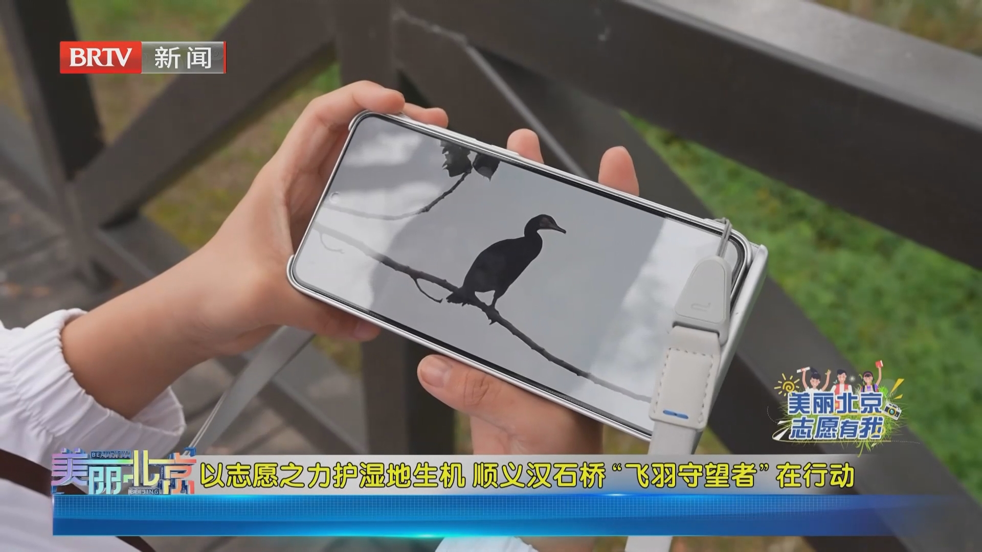 《美丽北京》20260827以志愿之力护湿地生机 顺义汉石桥“飞羽守望者”在行动 《美丽北京》20260827以志愿之力护湿地生机 顺义汉石桥“飞羽守望者”在行动