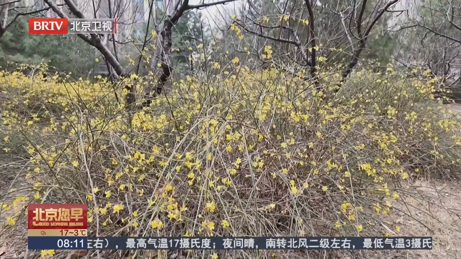 春捂怎么捂？记者教您洋葱穿衣法