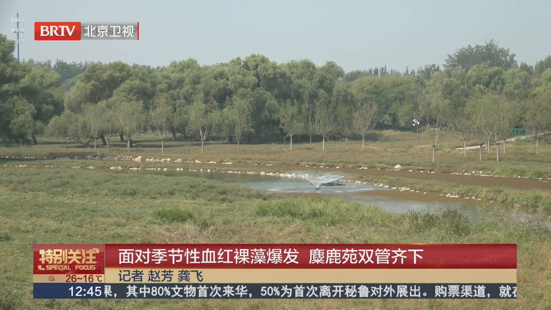 面对季节性血红裸藻爆发 麋鹿苑双管齐下 面对季节性血红裸藻爆发 麋鹿苑双管齐下