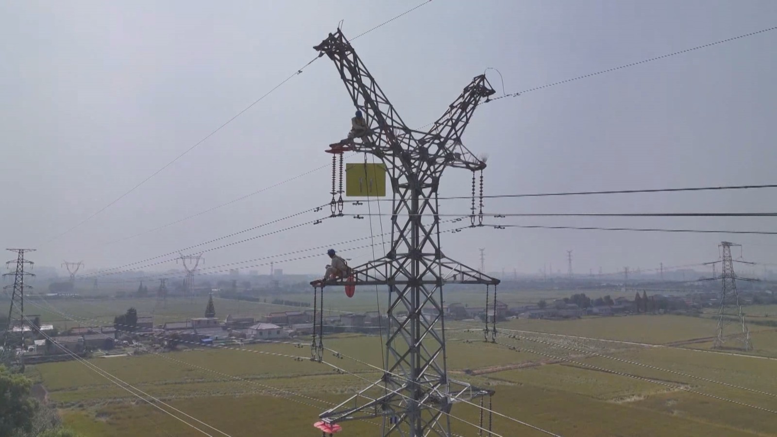 东方白鹳将迁徙 扬州高邮境内建“空中厕所” 东方白鹳将迁徙 扬州高邮境内建“空中厕所”