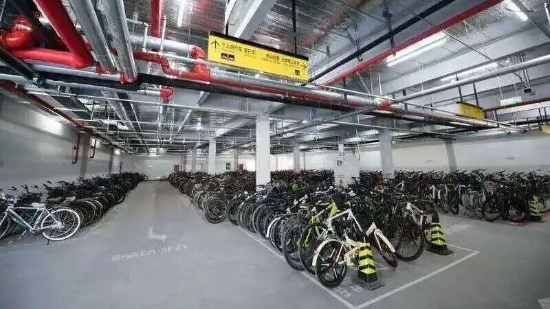 不用抢的车位,不被堵的路,上班路上多了一份温暖 不用抢的车位,不被堵的路,上班路上多了一份温暖