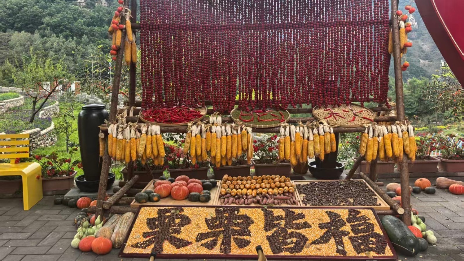 梨树沟休闲谷晒秋正当时