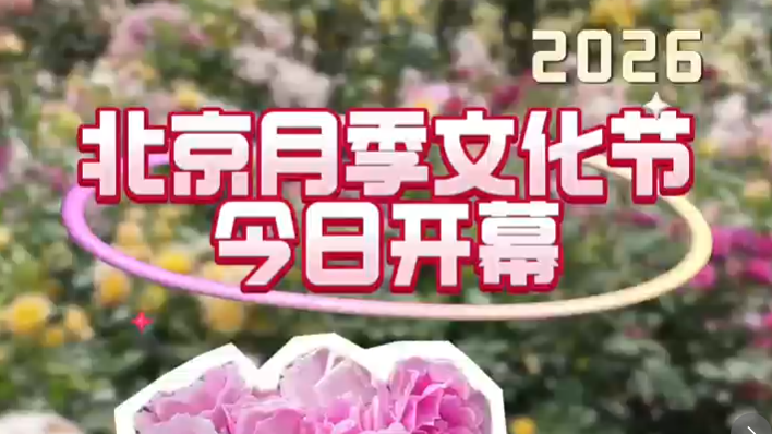 北京月季文化节今日启幕！谁是新晋顶流？