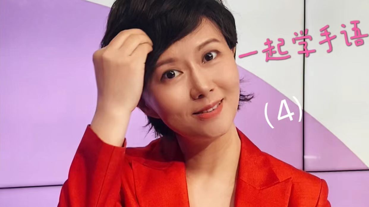 一起学手语（第四期）