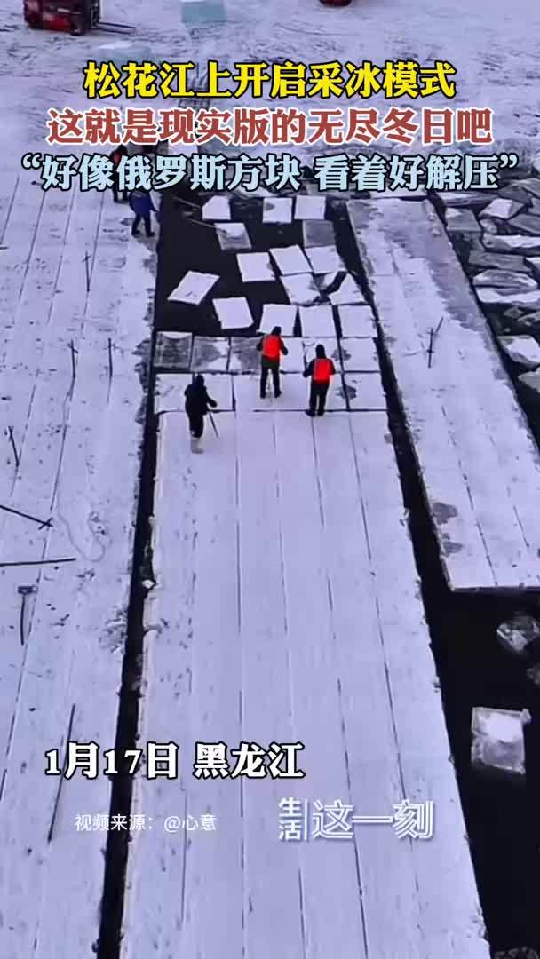 松花江开启采冰模式 看着好解压啊！