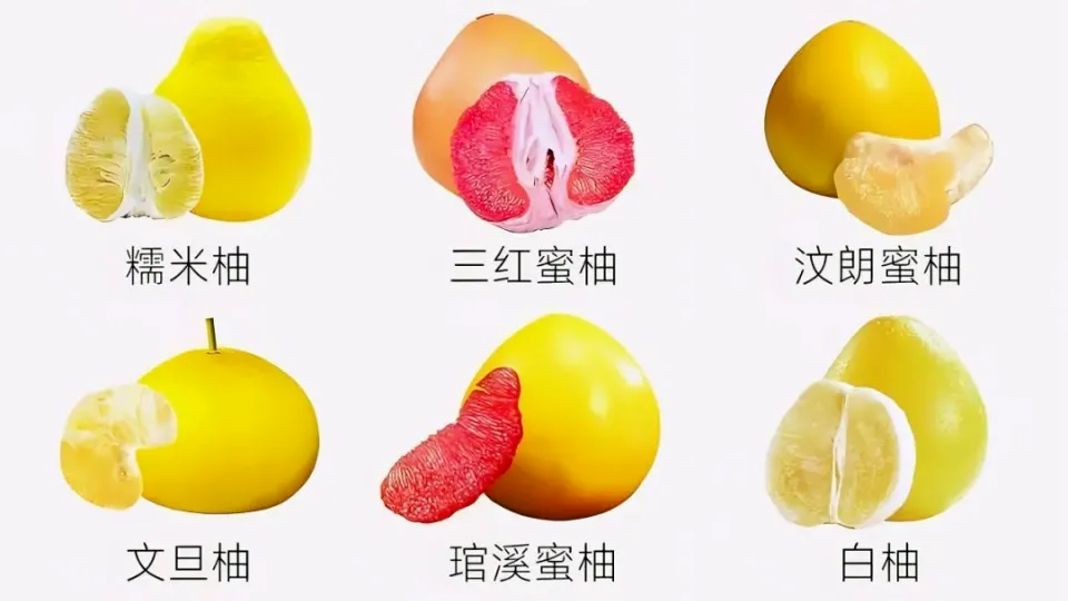 近期大量上市!紧急提醒:千万不要一起吃—— 近期大量上市!紧急提醒:千万不要一起吃——