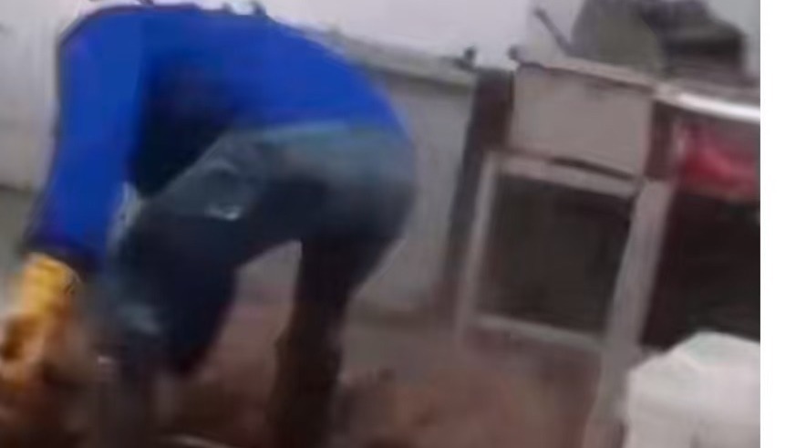 鹿哈带货的毛肚被举报生产环境恶劣