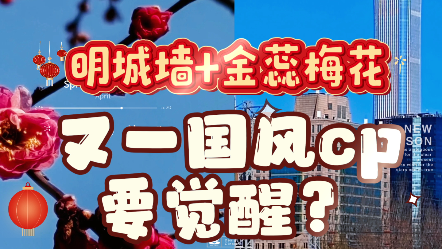 古墙梅影|明城墙+金蕊梅花,又一对国风CP要觉醒? 古墙梅影|明城墙+金蕊梅花,又一对国风CP要觉醒?